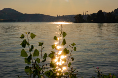 Sunset Lake Lucerne